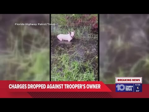Charges dropped against man who was accused of leaving dog tied to ...