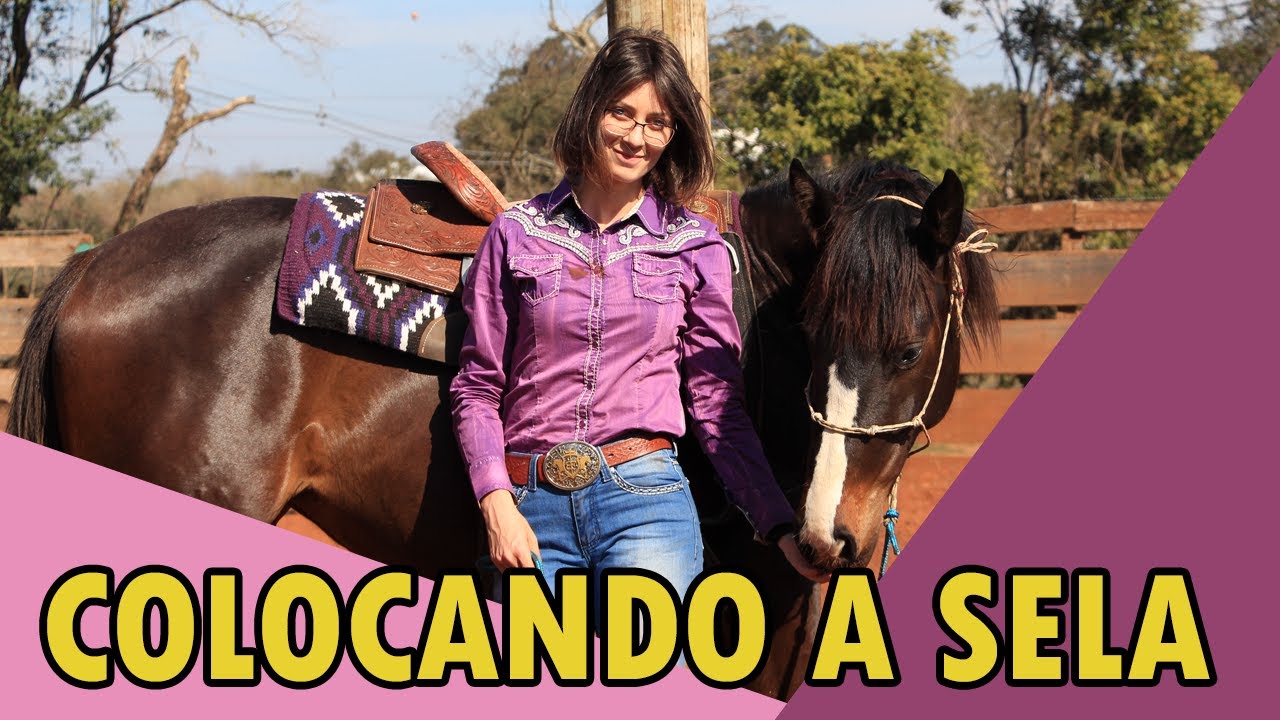 DOMA - Colocando a Sela