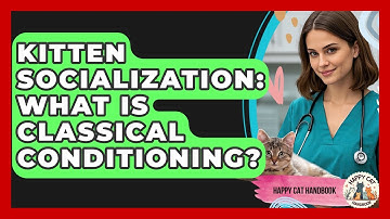 Kitten Socialization: What Is Classical Conditioning? - Happy Cat Handbook