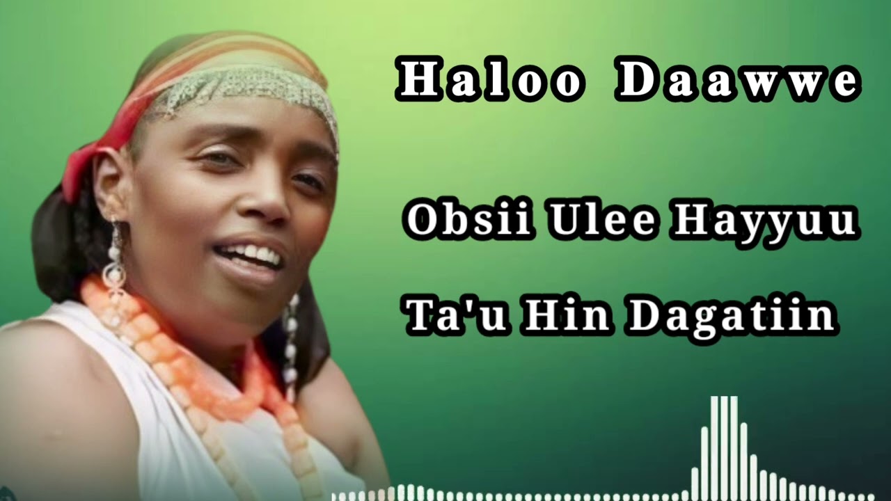 Haloo Daawwe Obsii ulee Hayyuu ta'u hin dagatinii 2024