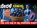 ನೇರಳೆ ಹಣ್ಣು ತಿನ್ನುವುದರಿಂದ ದೇಹದಲ್ಲಿ ಏನಾಗುತ್ತದೆ ಗೊತ್ತಾ? ನೇರಳೆ ಹಣ್ಣಿನ ಬಗ್ಗೆ ವೈದ್ಯರು ಹೇಳುವ ಸತ್ಯ