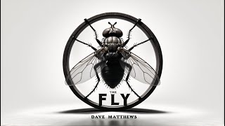 Download lagu Dave Matthews - The Fly (New Version)