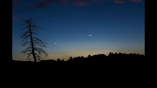 In the Company of Serpents - Nightfall