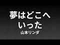 【カラオケ】夢はどこへいった 山本リンダ【ガイド有】
