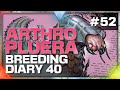 ARK Arthropleura Breeding Update (Day 40) | 168 DMG Points!
