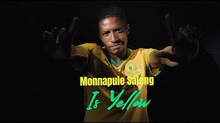 𝗥𝗘𝗔𝗗𝗬 𝗧𝗢 𝗟𝗜𝗚𝗛𝗧 𝗜𝗧 𝗨𝗣 🔥⚽️