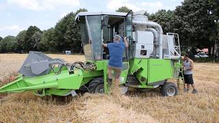 Moisson des essais de céréales en agriculture biologique