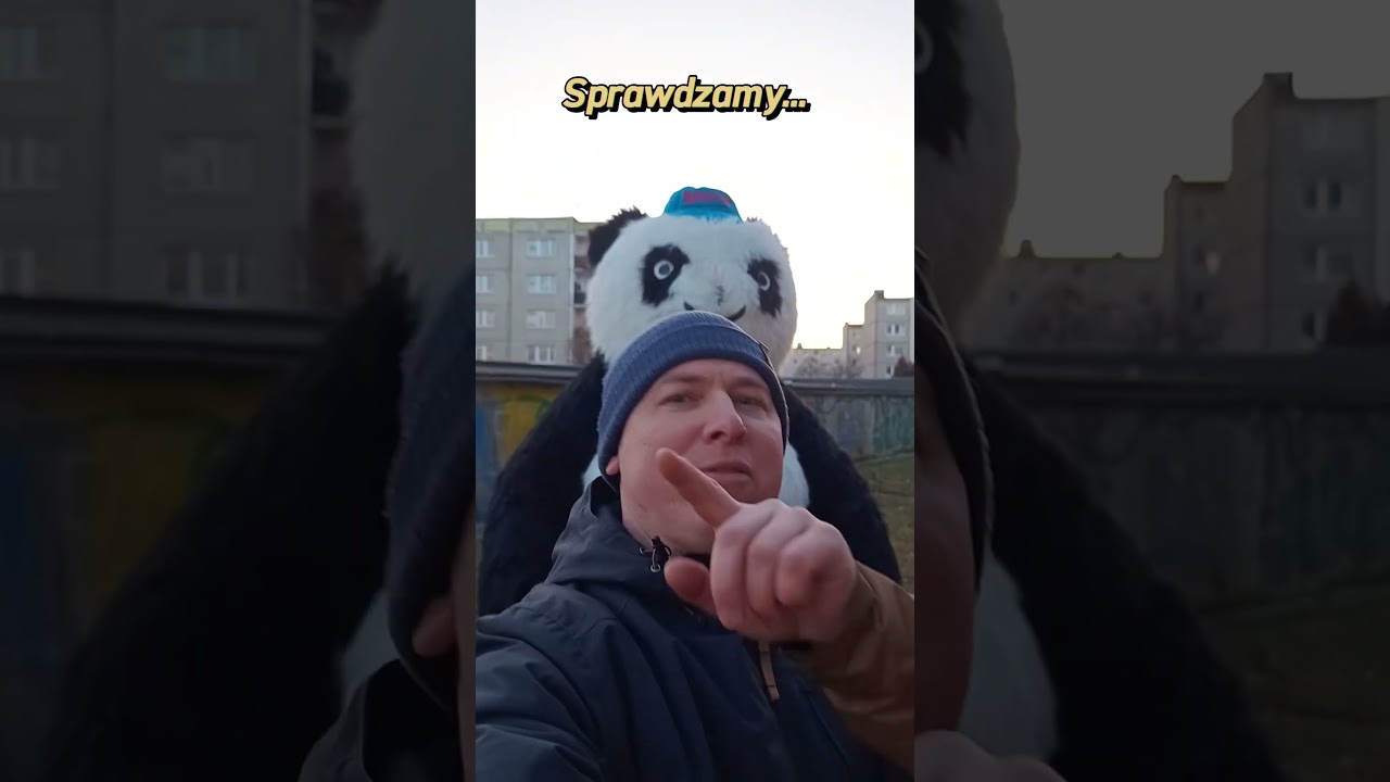 Ile osob jest w pandzie?