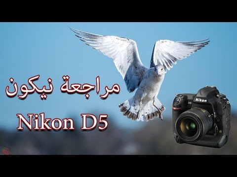 فيديو: ما هي تكلفة نيكون D5؟