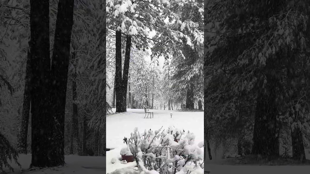 7 Sacred Seconds of Snow!