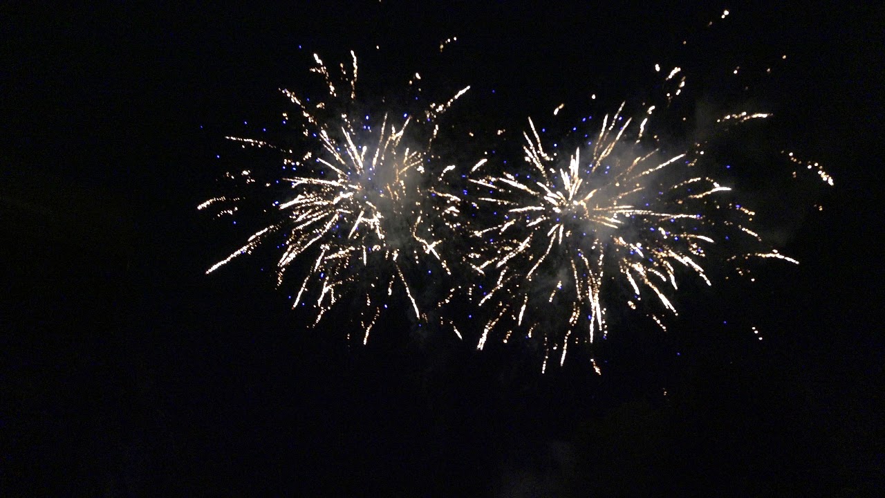 225 SHOT SHOW IN THE BOX - OVER 2 MIN