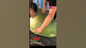 Chàng trai bổ quả dưa hấu KHỔNG LỒ | Tin Ngắn 3 Phút #shorts