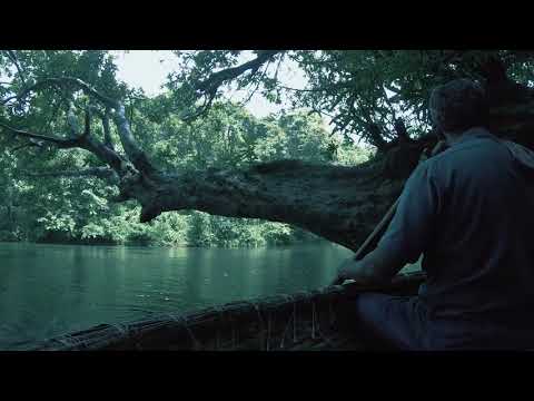 Unspeaking - I never learned how to swim
