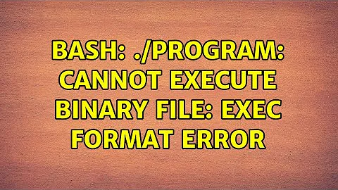 Ubuntu: bash: ./program: cannot execute binary file: Exec format error