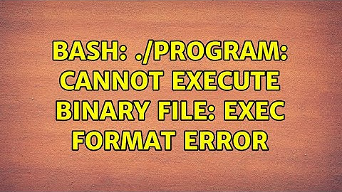 Ubuntu: bash: ./program: cannot execute binary file: Exec format error