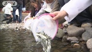子どもたちがサケの稚魚5万匹を放流　栃木(12/02/27)