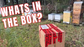 Unboxing a Package from my Sponsor - Hornsby Beekeeping Supplies #bees