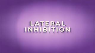 Brain Games - Lateral Inhibition
