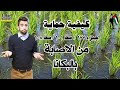 الارز ازاى تحمى اصناف الارزجيزه 177سخا 101سخا 108 من مرض البكانا