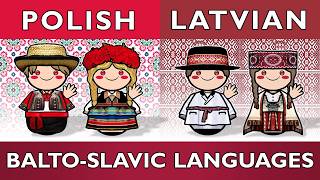 Polish vs Latvian: Slavic vs Baltic Showdown