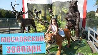 МОСКОВСКИЙ ЗООПАРК ! Януля увидела орангутана с детенышем !!! ZOO // Yanulya Like МОСКОВСКИЙ ЗООПАРК ! Януля увидела орангутана с детенышем !!! ZOO // Yanulya Like