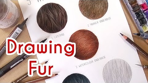 5 METHODS TO DRAW REALISTIC FUR! Coloured Pencil Drawing Tutorial- Episode 4