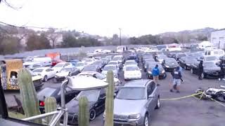Viertel's Central/Northeast Weekly Car Auction for the week of 01/02/2026