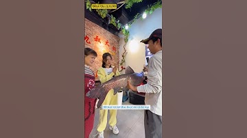 anh cần thủ lấy cá trắm đên đổi nồi lẩu ăn gặp bà chủ quán xinh đẹp và cái kết  #fishing #short