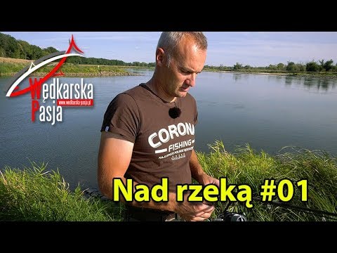 By the River #01 | Fishing Passion 4K