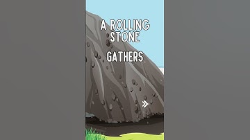 A Rolling Stone Gathers No Moss
