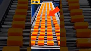 mango cutting machine | #ytshorts #telugushorts