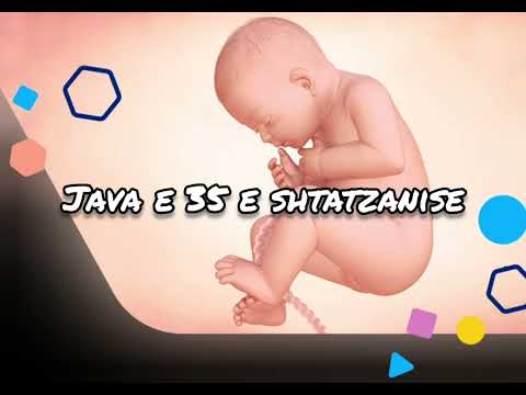 Java e 35 e Shtatzanise. Cfare pritet te ndodhe gjate kesaj jave?