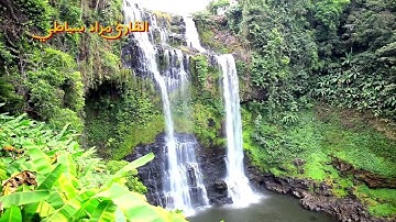 ماتيسر من سورة المومنون