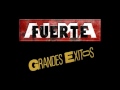 AlmaFuerte-Grandes Éxitos