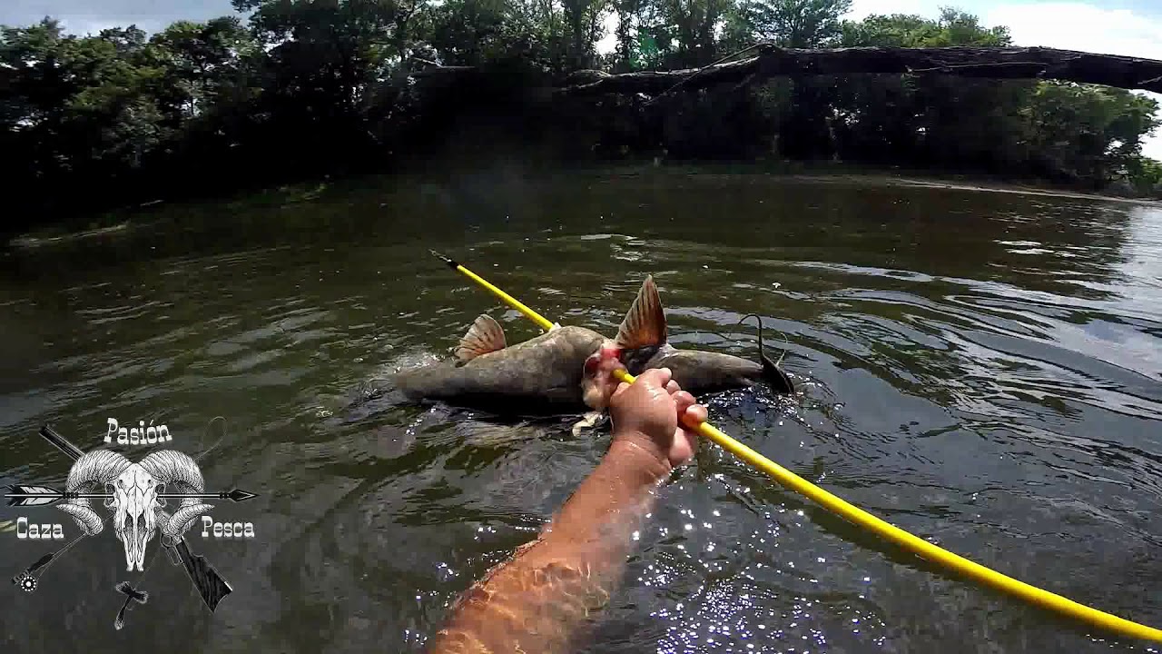 Pesca. con Arpon en Rio Carolina del Norte julio 17 del 2018 