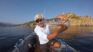 Cette vidéo traite de Barracudas en TOPWATER