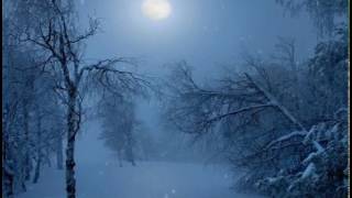 Video thumbnail of "[Vietsub + Kara] Winter moon - Erutan"
