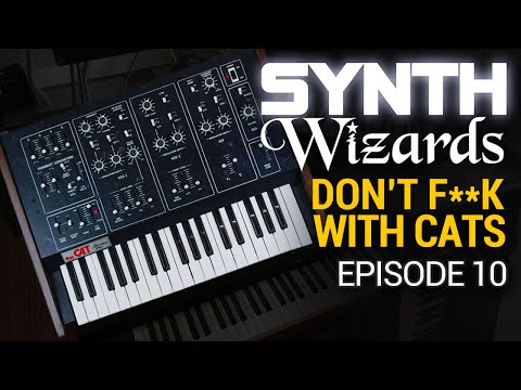 Synth Wizards Episode 10: Don't F**k With Cats