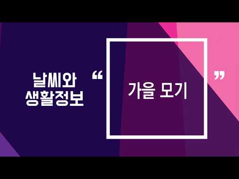 [날씨] 9월 11일_가을 모기