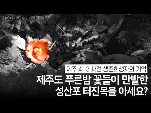 제주 4 · 3 사건 생존희생자의 기억을 기록하다 / [기억을 기록하다] | KBS 210405 방송