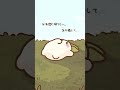 一緒にゴロゴロしよ~? #cute #animation #art #kawaii #イラスト #drawing #funny #memes #キャラ紹介