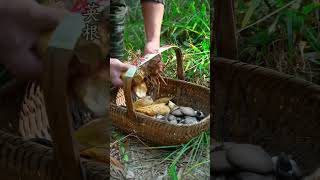 Kissing Hot Jepang Jav Hot Kiss Japan Movie Vegetarian French Kiss Japan