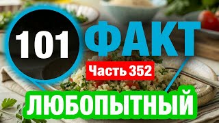 картинка: 101 Исключительный Факт В Который Сложно Поверить