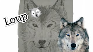 youtube how to draw a wolf 8
