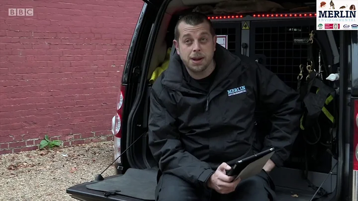 Merlin Bed Bug Detection dogs BBC1