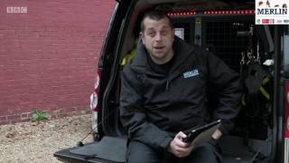 Merlin Bed Bug Detection dogs BBC1 screenshot 2