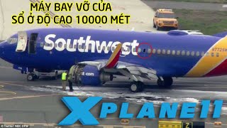 NỮ PHI CÔNG CỨU MÁY BAY BỊ VỠ CỬA SỔ Ở ĐỘ CAO 10000 MÉT | SOUTHWEST AIRLINES 1380 screenshot 4