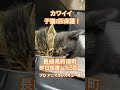2025年6月28日