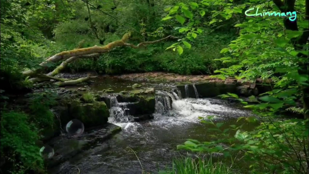 🔴GIVE YOURSELF TO RELAX |CHINMANG  RELAXING MUSIC 29/12/2025