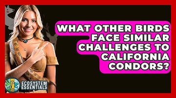 What Other Birds Face Similar Challenges To California Condors? - Ecosystem Essentials